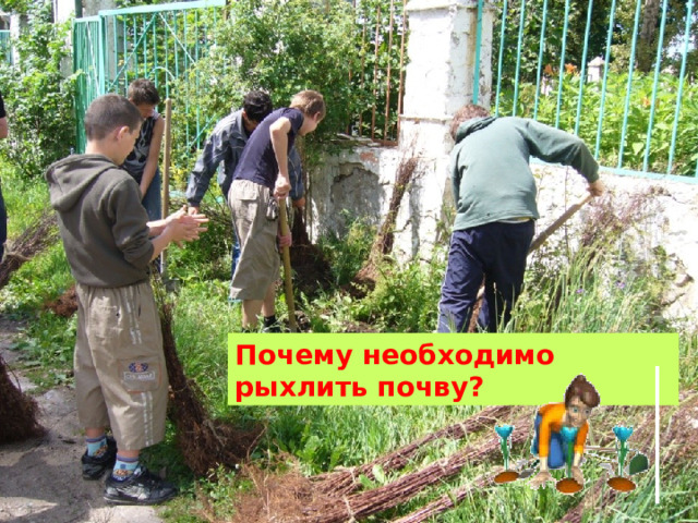 Почему необходимо рыхлить почву? 