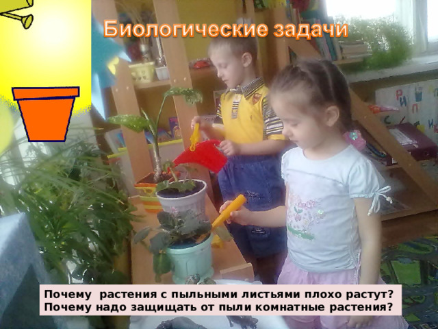 Почему растения с пыльными листьями плохо растут? Почему надо защищать от пыли комнатные растения? 