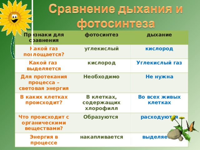 Газ необходимый растениям для дыхания