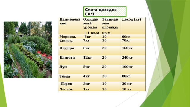 Смета доходов ( кг) Наименование Морковь Ожидаемый урожай Свекла  с 1 кв.м Занимаемая площадь  6кг Огурцы 7кг 10 Доход (кг) кв.м 60кг 10 8кг Капуста 70кг 20 Лук 12кг 5кг 20  160кг Томат 240кг  20   Перец 4кг  100кг 20 Чеснок 3кг  80кг 1кг 10  30 кг 10 10 кг 