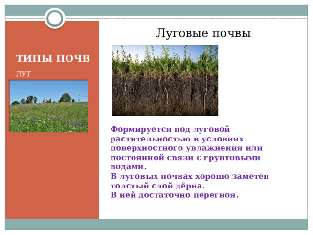 Какие почвы находятся. Зона формирования Луговой почвы. Луговая почва характеристика. Оглеение Луговой почвы. Луговая почва растительность.