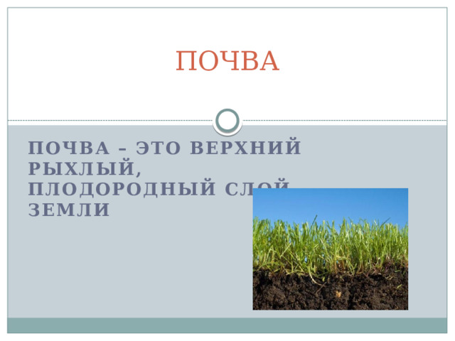 Плодородный слой земли. Верхний рыхлый плодородный слой почвы это. Почва это верхний плодородный слой земли. Почва это рыхлый слой земли верхний рыхлый пло. Верхний рыхлый плодородный слой земли покрытый растительностью.