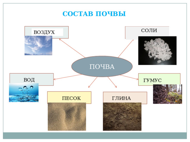 Состав почвы 3 класс схема