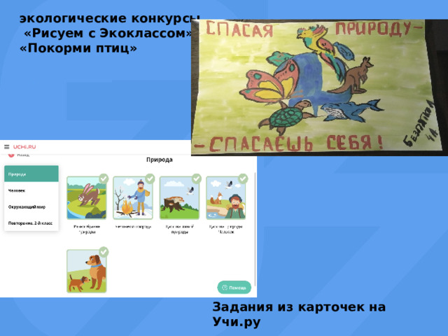 экологические конкурсы  «Рисуем с Экоклассом» «Покорми птиц» Задания из карточек на Учи.ру 