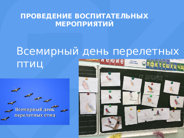 Проведение воспитательных мероприятий Всемирный день перелетных птиц 
