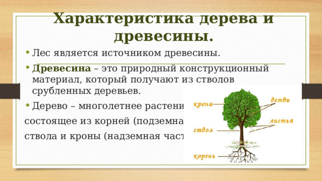 Характеристика дерева и древесины. Лес является источником древесины. Древесина – это природный конструкционный материал, который получают из стволов срубленных деревьев. Дерево – многолетнее растение, состоящее из корней (подземная часть); ствола и кроны (надземная часть). 