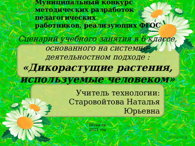 Презентация по технологии 6 класс дикорастущие растения используемые человеком