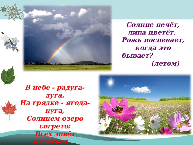 Солнце уже спряталось и на цветущей ржи. Солнце печёт липа цветёт рожь поспевает. Солнце печёт липа цветёт. Картинка солнце печет, липа цветет, рожь поспевает. Солнце печет.