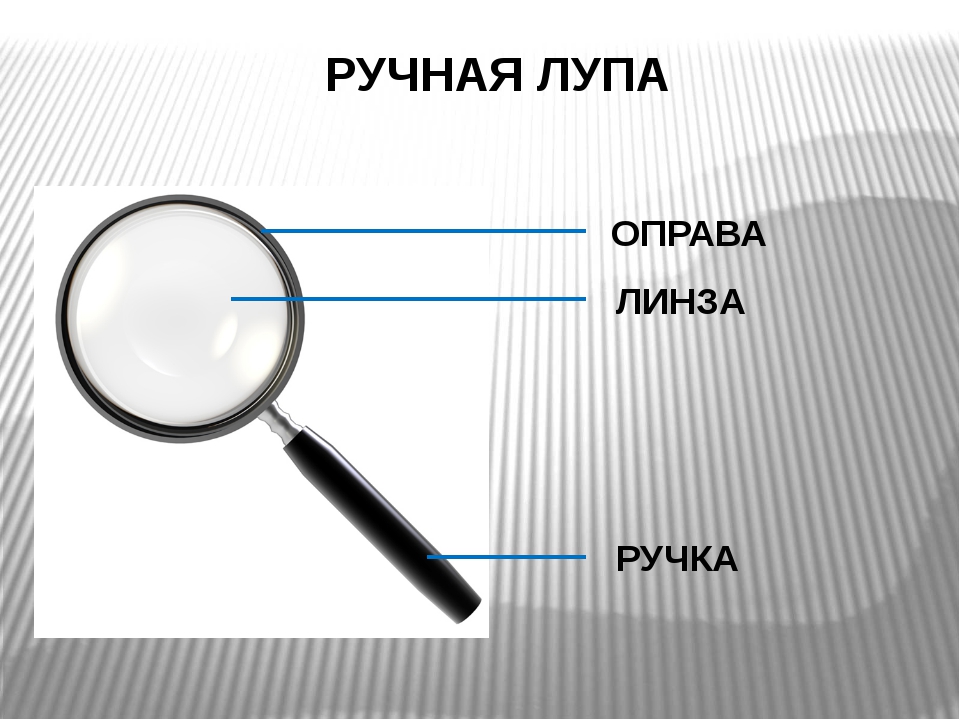 Ольга на уроке изучал устройство ручной лупы и делала соответствующие подписи к рисунку