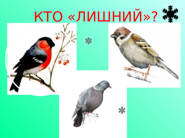 КТО «ЛИШНИЙ»?  