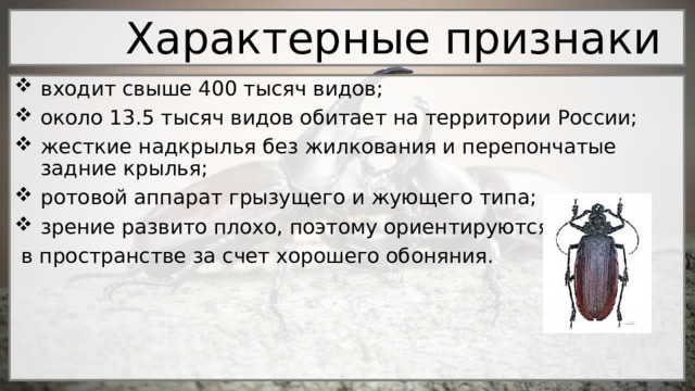 Признаки отряда жесткокрылые или жуки.