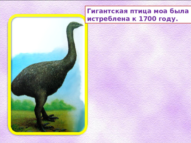 Гигантская птица моа была истреблена к 1700 году. 