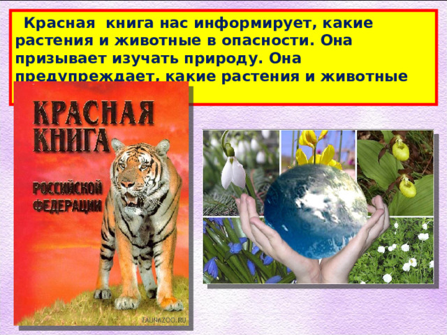  Красная книга нас информирует, какие растения и животные в опасности. Она призывает изучать природу. Она предупреждает, какие растения и животные находятся в беде. 