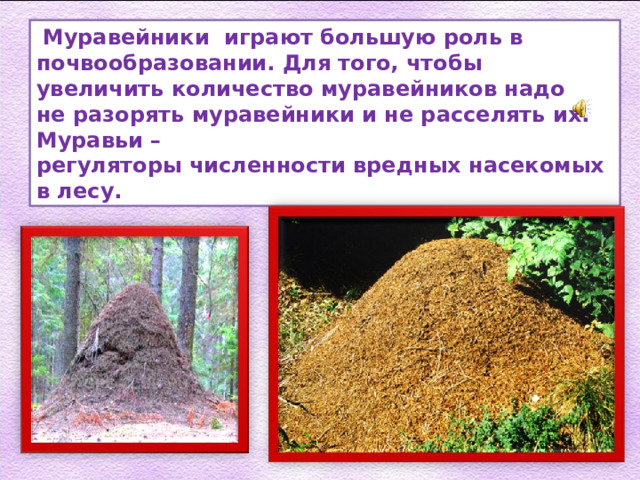  Муравейники играют большую роль в почвообразовании. Для того, чтобы увеличить количество муравейников надо не разорять муравейники и не расселять их. Муравьи – регуляторы численности вредных насекомых в лесу. 