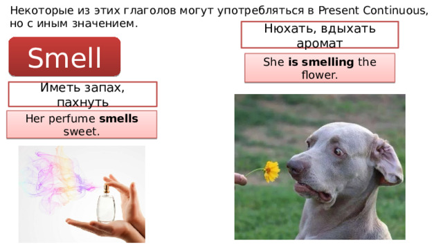 Некоторые из этих глаголов могут употребляться в Present Continuous, но с иным значением. Нюхать, вдыхать аромат Smell She is smelling the flower. Иметь запах, пахнуть Her perfume smells sweet. 
