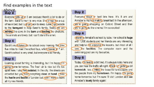 Find examples in the text above. 