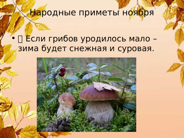 Народные приметы ноября    Если грибов уродилось мало – зима будет снежная и суровая. 