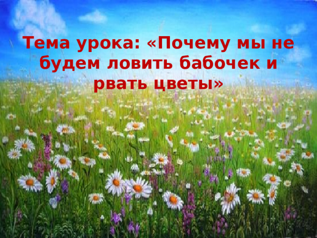 Презентация почему нельзя рвать цветы и ловить бабочек 1 класс школа россии