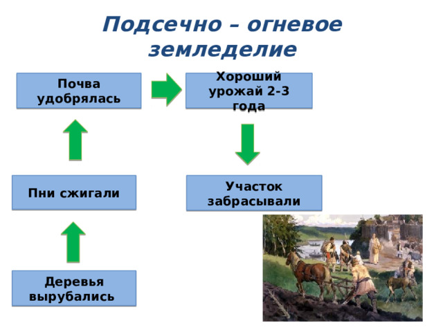 Подсечно – огневое земледелие Почва удобрялась Хороший урожай 2-3 года Пни сжигали Участок забрасывали Деревья вырубались 