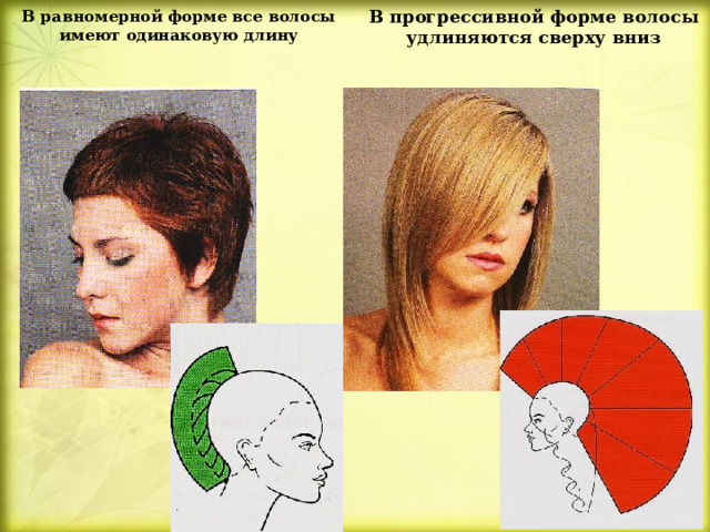 Базовые формы стрижек. Прогрессивная форма стрижки. Равномерная форма стрижки. Мужская стрижка прогрессивной формы. Выполнение прогрессивной стрижки.