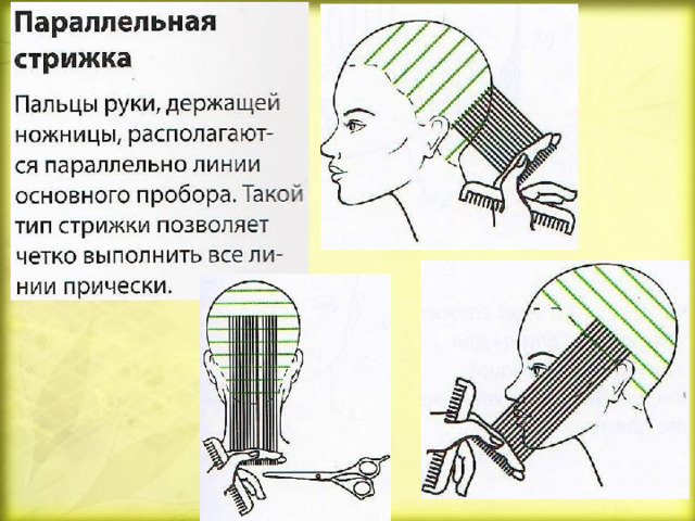 Стрижка гарсон схема выполнения стрижки