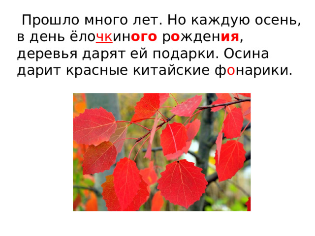  Прошло много лет. Но каждую осень, в день ёло чк ин ого р о жден ия , деревья дарят ей подарки. Осина дарит красные китайские ф о нарики. 