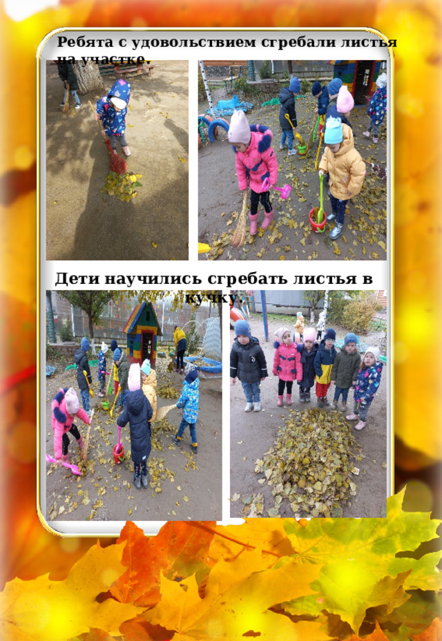 Ребята с удовольствием сгребали листья на участке. Дети научились сгребать листья в кучку. 