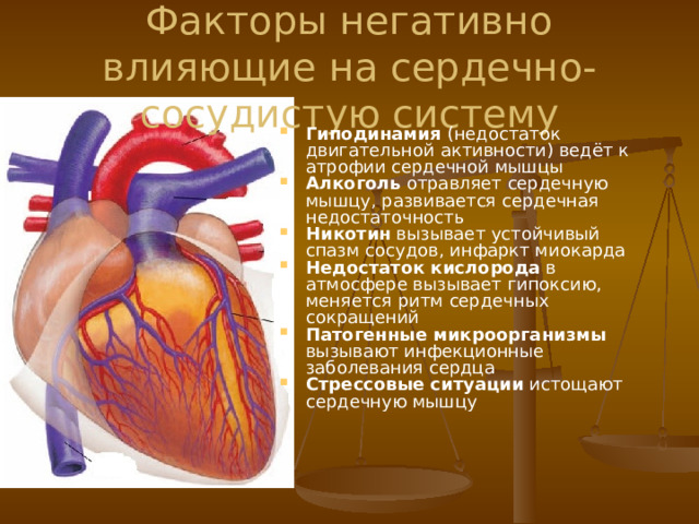 Заболевания сердечно сосудистой системы проект