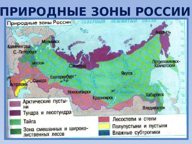 Природные зоны росси 8 класс