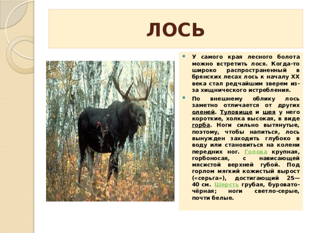 Наш край - Нижегородская область