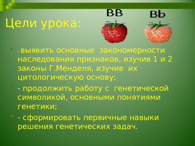 Презентация закономерности наследования