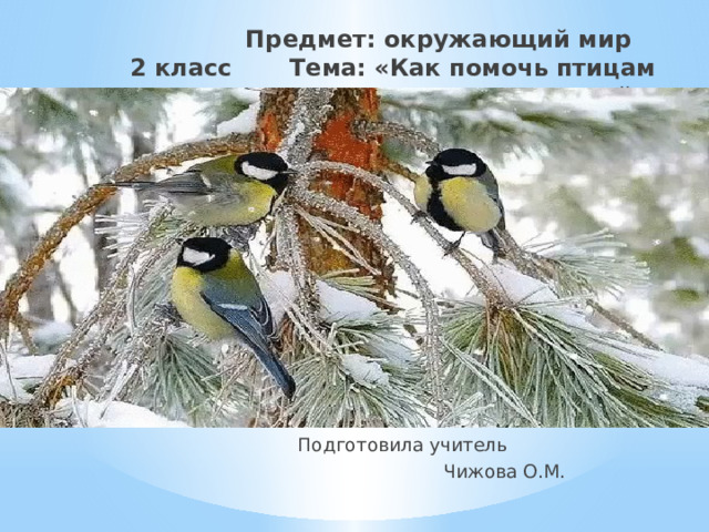 Предмет: окружающий мир  2 класс Тема: «Как помочь птицам зимой»  Подготовила учитель  Чижова О.М. 