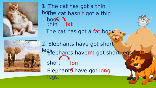 An elephant has got a body. A Bear has got a thin body. Вопросительный. A Bear has got a thin body. Напишите что не так 1. Elephants have got thin bodies.