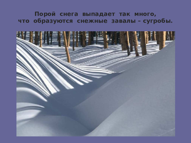 Порой снега выпадает так много,  что образуются снежные завалы – сугробы. 