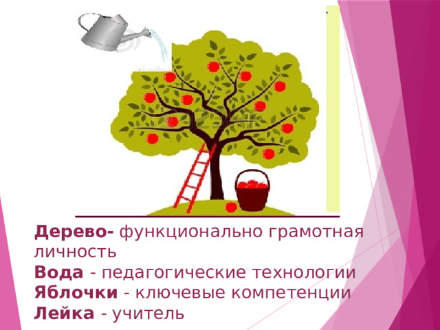 Болгарский перец функциональная грамотность 4 класс презентация