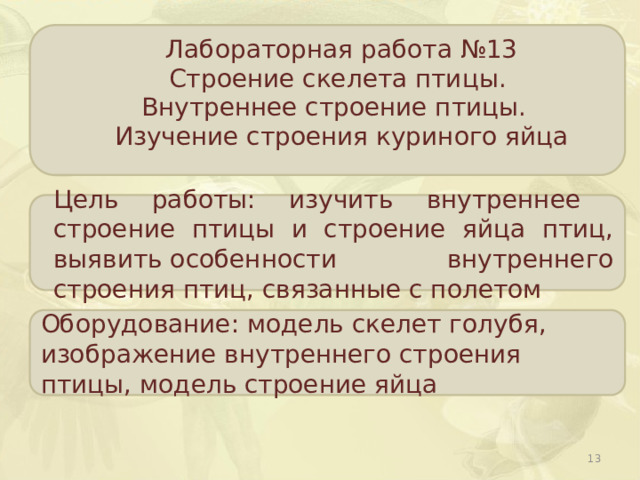 Лабораторная работа №13 Строение скелета птицы. Внутреннее строение птицы. Изучение строения куриного яйца Цель работы: изучить внутреннее строение птицы и строение яйца птиц,  выявить особенности внутреннего строения птиц, связанные с полетом Оборудование: модель скелет голубя, изображение внутреннего строения птицы, модель строение яйца  