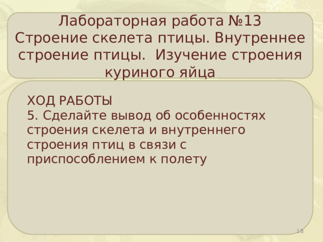 Лабораторная работа №13 Строение скелета птицы. Внутреннее строение птицы. Изучение строения куриного яйца ХОД РАБОТЫ 5. Сделайте вывод об особенностях строения скелета и внутреннего строения птиц в связи с приспособлением к полету  