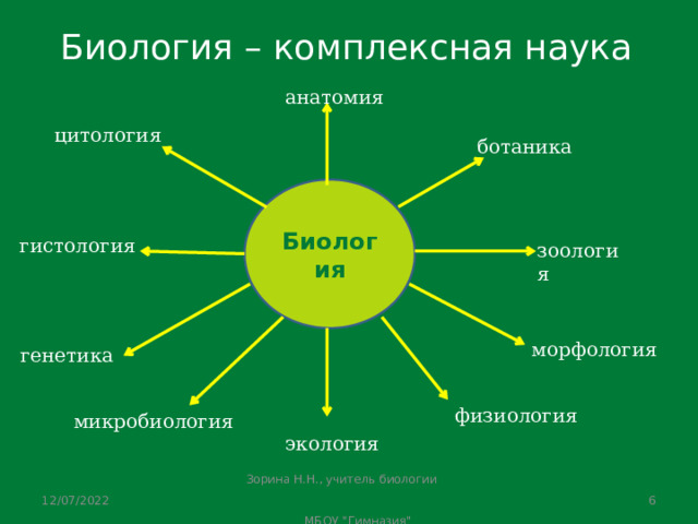 Биологические науки анатомия