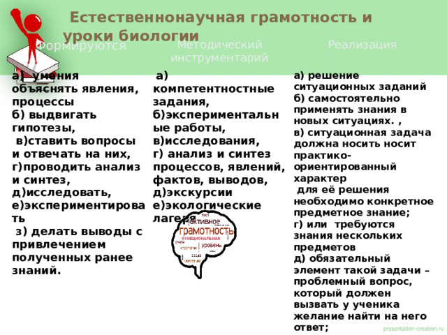 Пуфы формируются биология