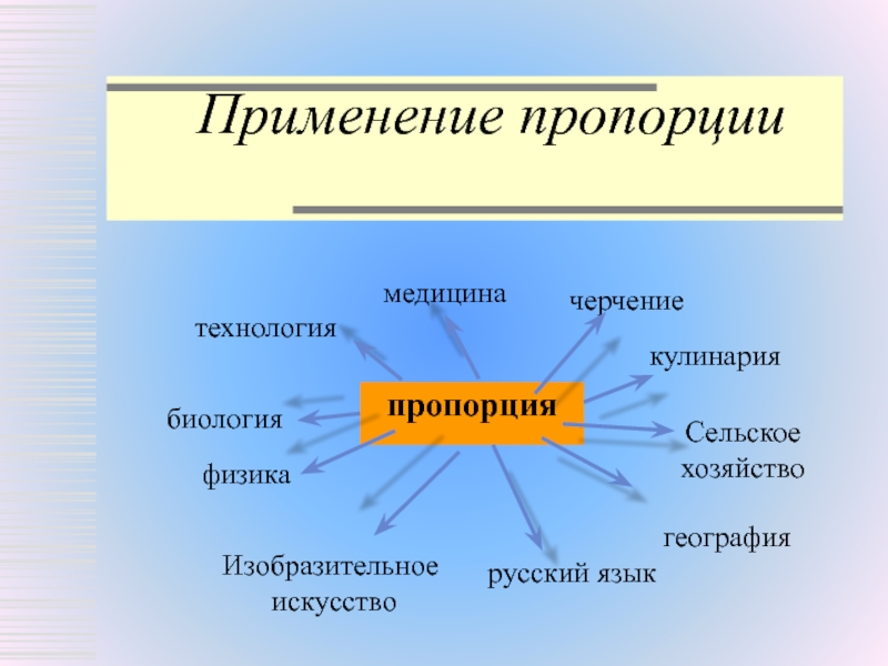 Проект в 6 классе