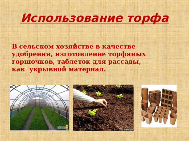 Использование торфа В сельском хозяйстве в качестве удобрения,  изготовление торфяных горшочков, таблеток для рассады,  как  укрывной материал.  