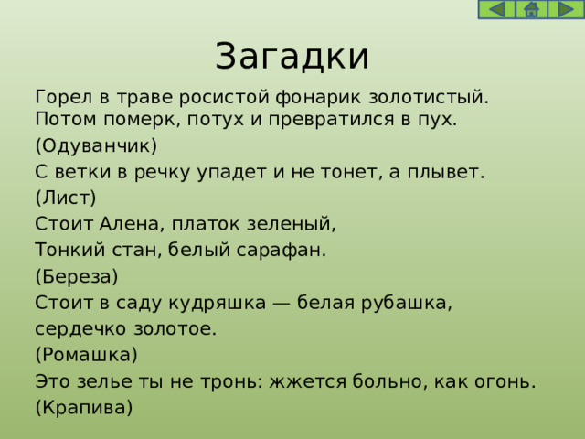 Загадки Горел в траве росистой фонарик золотистый. Потом померк, потух и превратился в пух. (Одуванчик) С ветки в речку упадет и не тонет, а плывет. (Лист) Стоит Алена, платок зеленый, Тонкий стан, белый сарафан. (Береза) Стоит в саду кудряшка — белая рубашка, сердечко золотое. (Ромашка) Это зелье ты не тронь: жжется больно, как огонь. (Крапива) 