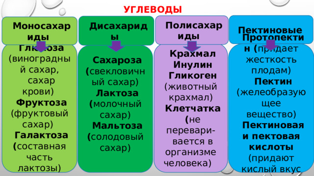 углеводы  Пектиновые   Полисахариды   Дисахариды    Моносахариды      Глюкоза (виноградный сахар, сахар крови) Фруктоза (фруктовый сахар)  Галактоза ( составная часть лактозы)      Крахмал Инулин Гликоген (животный крахмал) Клетчатка ( не перевари- вается в организме человека)       Протопектин ( придает жесткость плодам) Пектин (желеобразующее вещество) Пектиновая и пектовая кислоты (придают кислый вкус плодам)      Сахароза ( свекловичный сахар) Лактоза ( молочный сахар) Мальтоза ( солодовый сахар)    . 