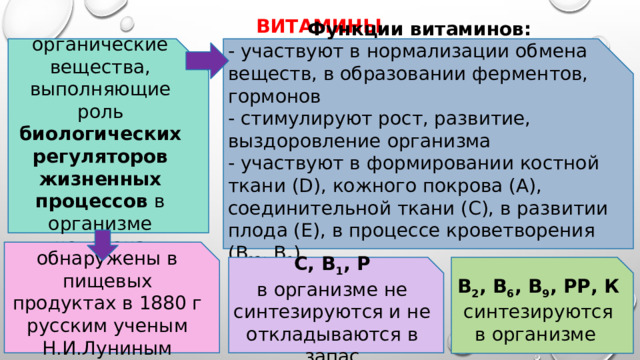 ВИТАМИНЫ органические вещества, выполняющие роль биологических регуляторов жизненных процессов в организме человека Функции витаминов: - участвуют в нормализации обмена веществ, в образовании ферментов, гормонов - стимулируют рост, развитие, выздоровление организма - участвуют в формировании костной ткани (D), кожного покрова (А), соединительной ткани (С), в развитии плода (Е), в процессе кроветворения (В 12 , В 9 )   обнаружены в пищевых продуктах в 1880 г русским ученым Н.И.Луниным C, В 1 , Р B 2 , В 6 , В 9 , РР, К в организме не синтезируются и не откладываются в запас синтезируются в организме 