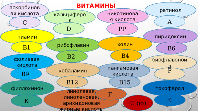 витамины аскорбиновая кислота ретинол никотиновая кислота кальциферол А С РР D пиридоксин тиамин холин рибофлавин В1 В6 В4 В2 фолиевая кислота биофлавоноид кобаламин пангамовая кислота В9 Р В15 В12 филлохинон токоферол F линолевая, линоленовая, арихидоновая жирные кислоты Е К U (ю) 