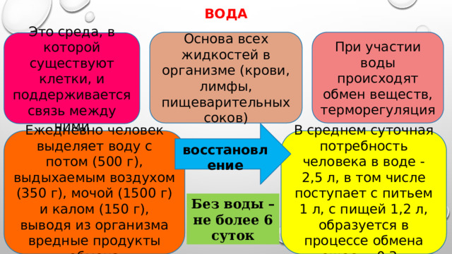 восстановление вода При участии воды происходят обмен веществ, терморегуляция Основа всех жидкостей в организме (крови, лимфы, пищеварительных соков) Это среда, в которой существуют клетки, и поддерживается связь между ними Ежедневно человек выделяет воду с потом (500 г), выдыхаемым воздухом (350 г), мочой (1500 г) и калом (150 г), выводя из организма вредные продукты обмена В среднем суточная потребность человека в воде - 2,5 л, в том числе поступает с питьем 1 л, с пищей 1,2 л, образуется в процессе обмена веществ 0,3 л Без воды – не более 6 суток 