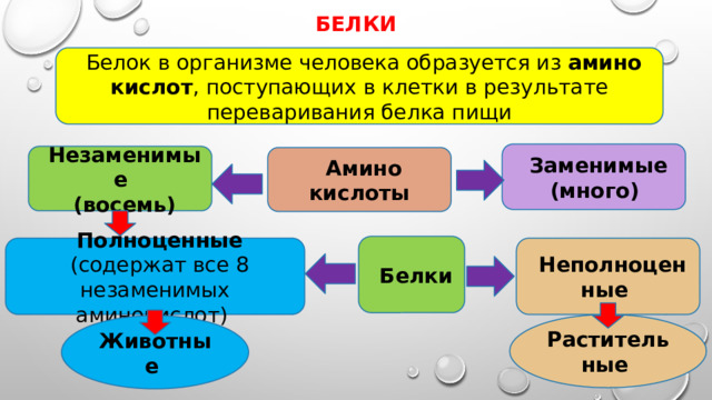  белки   Белок в организме человека образуется из амино­кислот , поступающих в клетки в результате переваривания белка пищи  Заменимые (много)    Незаменимые (восемь)    Амино­кислоты  .   Белки       Полноценные Неполноценные  (содержат все 8 незаменимых аминокислот)    Растительные  Животные  