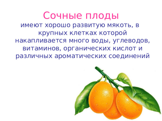 Сочные плоды имеют хорошо развитую мякоть, в крупных клетках которой накапливается много воды, углеводов, витаминов, органических кислот и различных ароматических соединений 