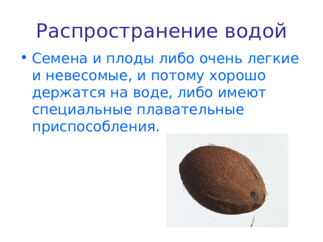 Распространение водой Семена и плоды либо очень легкие и невесомые, и потому хорошо держатся на воде, либо имеют специальные плавательные приспособления.  