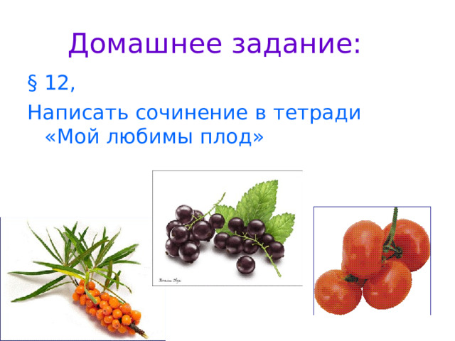 Домашнее задание: §  12, Написать сочинение в тетради «Мой любимы плод» 